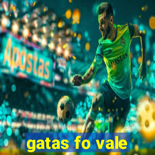 gatas fo vale